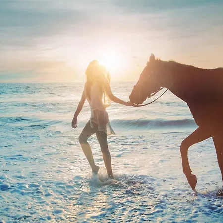 Pg - House * Σίντρα