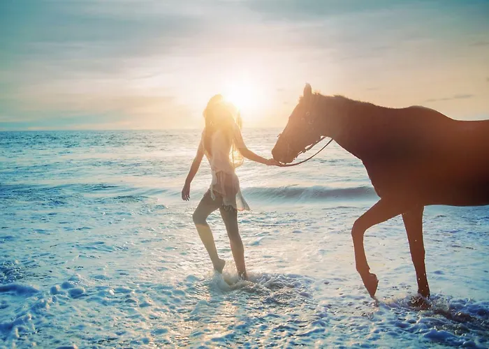 Pg - House * Σίντρα